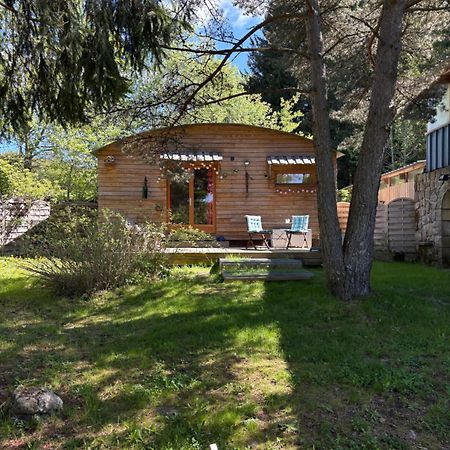 Chalet Grenouille Domaine De La Mamounette Champclause Kültér fotó