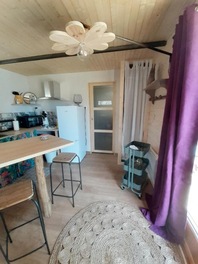Chalet Grenouille Domaine De La Mamounette Champclause Kültér fotó