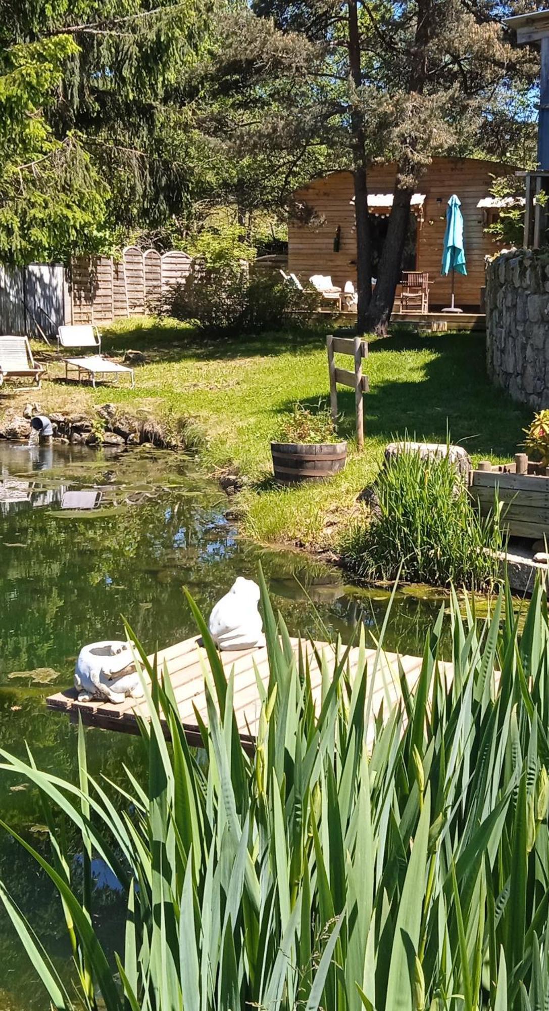 Chalet Grenouille Domaine De La Mamounette Champclause Kültér fotó