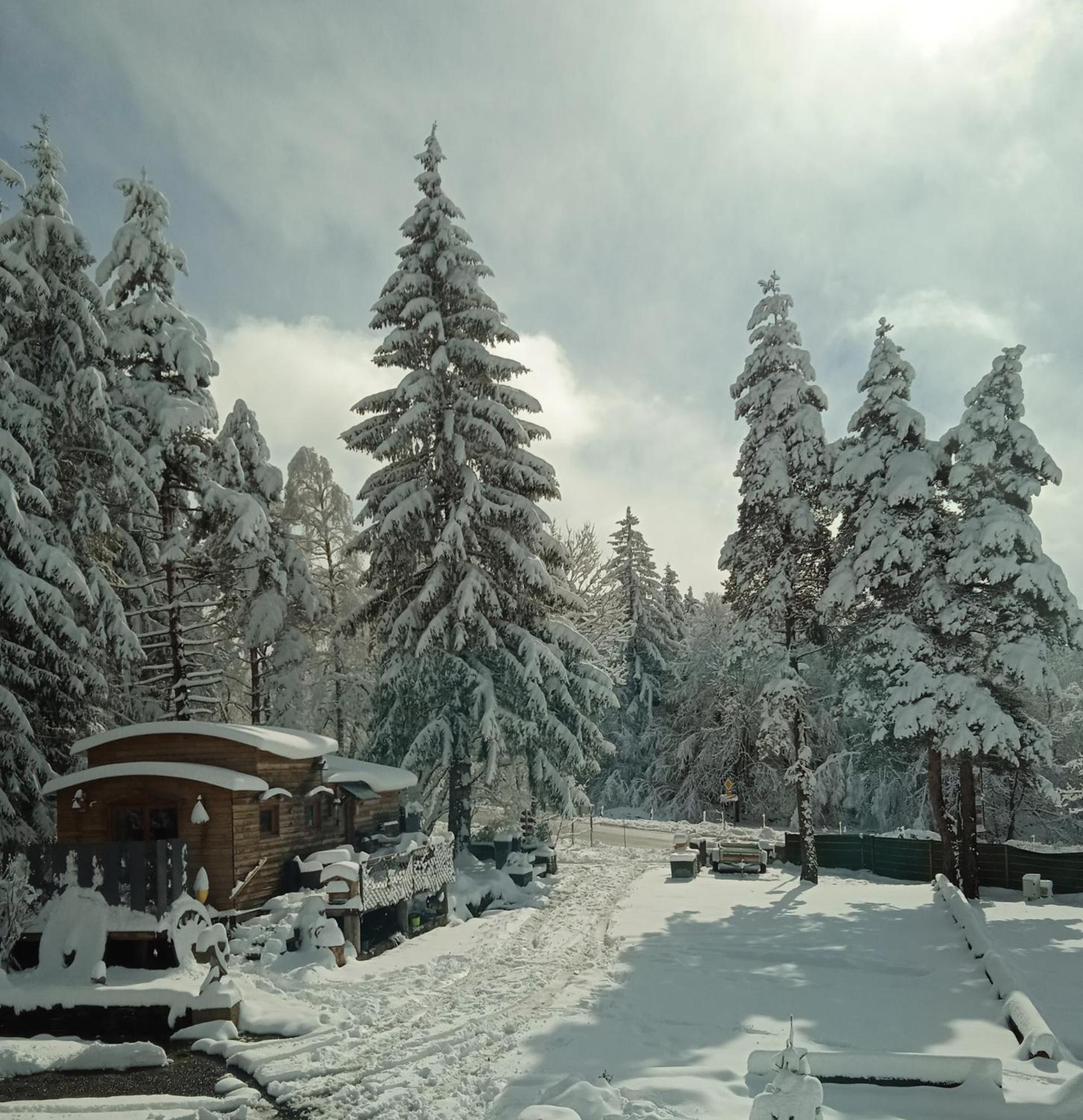Chalet Grenouille Domaine De La Mamounette Champclause Kültér fotó