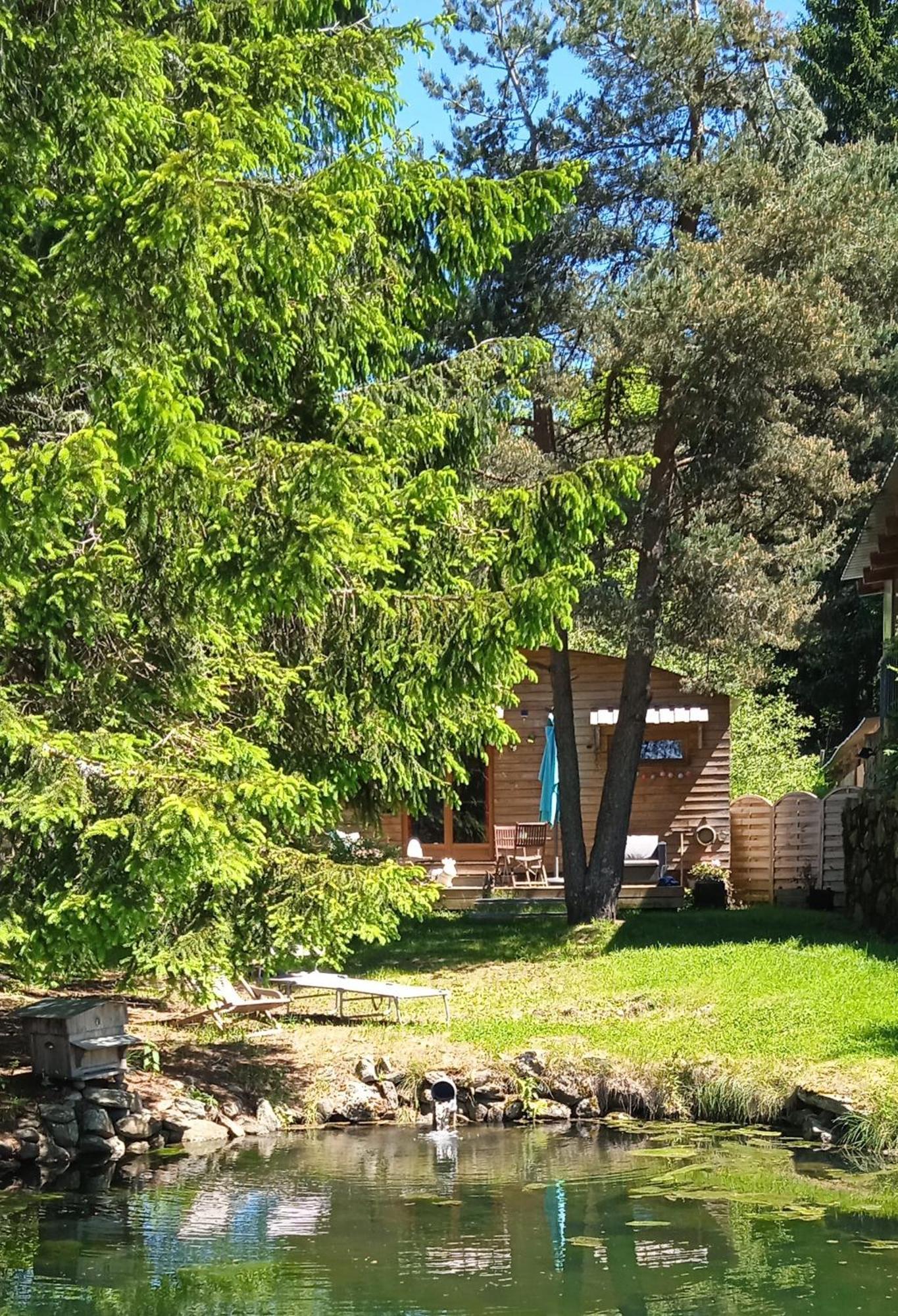 Chalet Grenouille Domaine De La Mamounette Champclause Kültér fotó