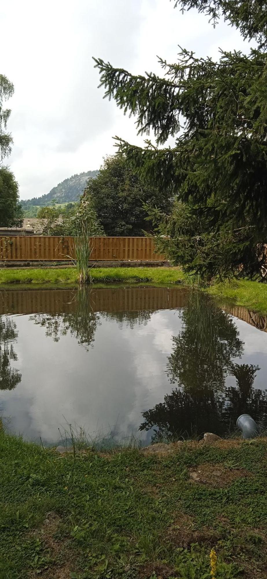 Chalet Grenouille Domaine De La Mamounette Champclause Kültér fotó
