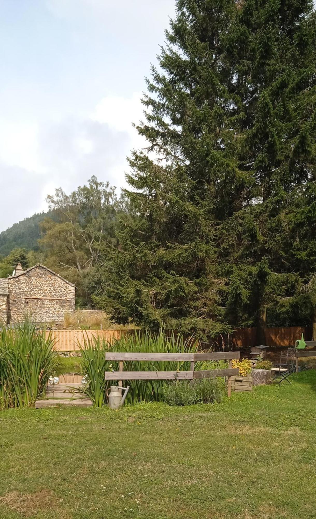 Chalet Grenouille Domaine De La Mamounette Champclause Kültér fotó