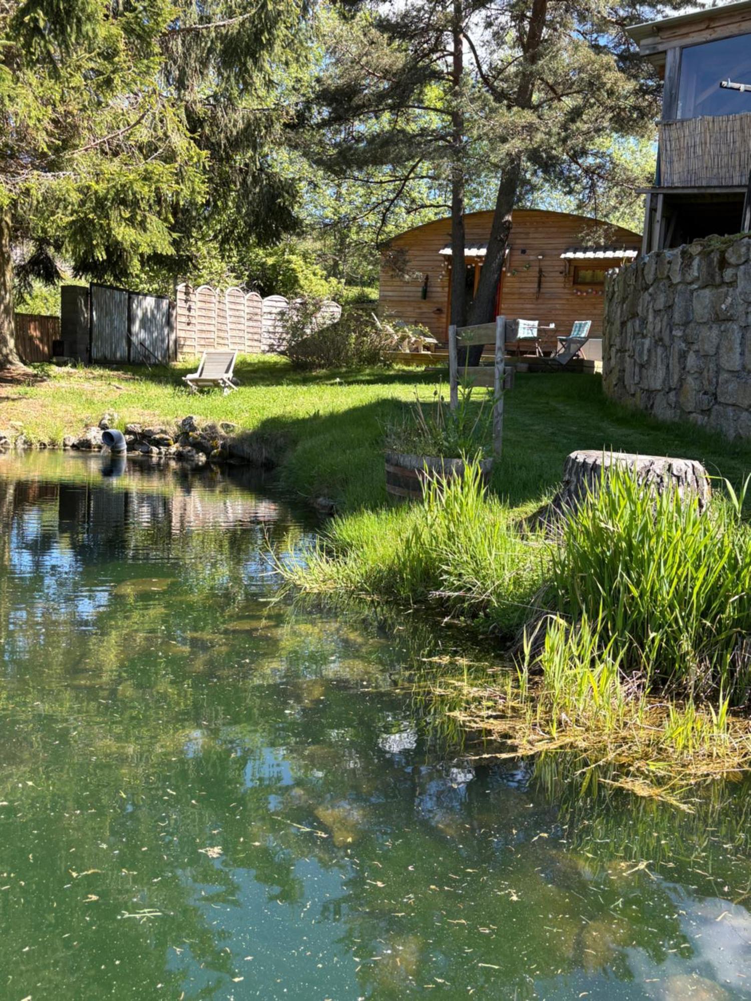 Chalet Grenouille Domaine De La Mamounette Champclause Kültér fotó